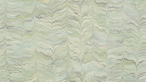 Jaipur Plain 311725